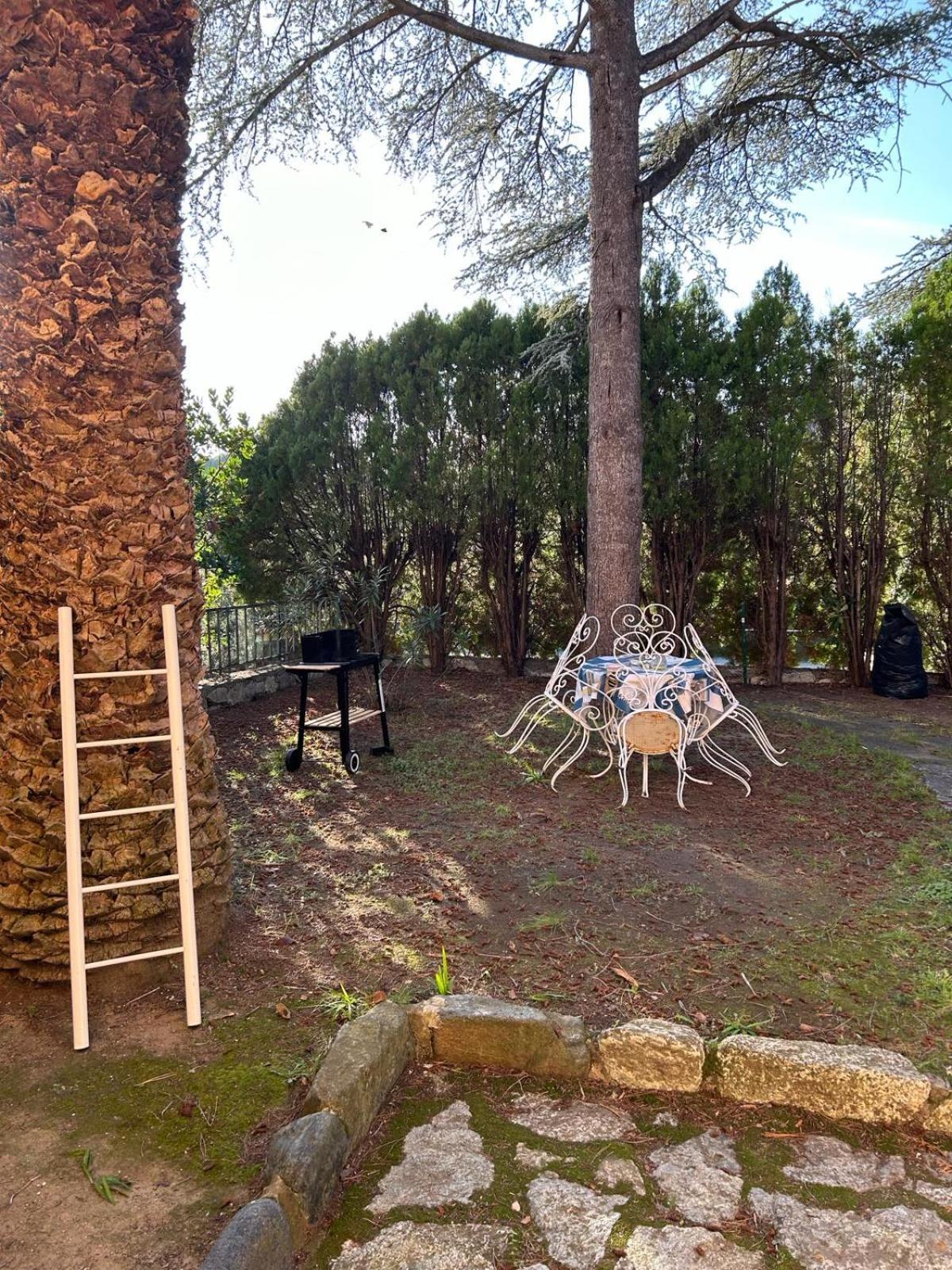 Casa Con Giardino: Varazze Rum bild